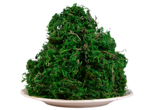 Mech suszony zielony dekoracyjny 100g
