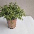 20220215_140023.jpg
