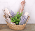 420191_0005.png
