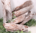 420191_0006.png
