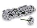 ryżyk-MYH192909-srebrny_2D_0002_large.png