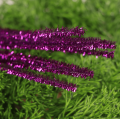 myh192705_0004.png
