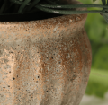 25501_0007.png