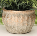 25501_0009.png