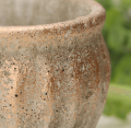 25501_0006.png