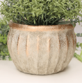 25504_0007.png