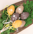 6cm egg ws mix b_0016.png