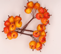 SM2284 YELLOW-RED_0001.png