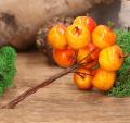 SM2284 YELLOW-RED_0003.png