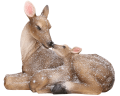 3dc704da-3655-4516-ad24-6bcf056234f5.png
