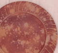 P0277-33RB_2d_0003.png