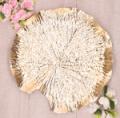 P0723-31GO_2d_0001.png