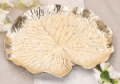 P0723-31GOnowe_2d_0002.png