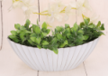P0665-2811WHITE_2d_0004.png