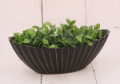 P0665-2811black_2d_0004.png