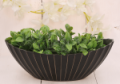 P0665-2811black_2d_0002.png
