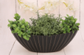 P0665-3615BLACK_2d_0003.png
