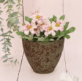 P0602-13RG_2d_0007.png