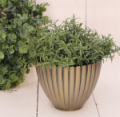 P0602-16MG_2d_0004.png
