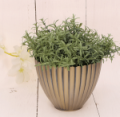 P0602-16MG_2d_0005.png