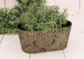 P0603-24RG_2d_0003.png