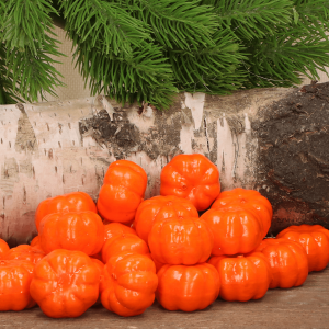 Dynia ozdobna Halloween
