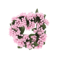65755.png