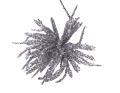 myh195871_kolki_jezyki_2D_0002_large.png