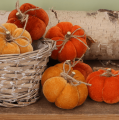 f043c0115d3df20f17c973bf09afe72d.png