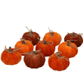 639a65a431e11e944598d3e03c41fa21.png