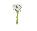 66702.png