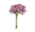 66777.png