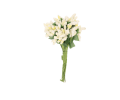 66724.png
