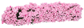 64b760cae7cbd1a929ab60ec2c2b16c1.jpg