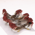05cae156ceb2ceb9f70c30f600f589eb.png