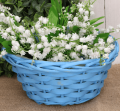 75508eada0bed4aeb1a819ff7d511c61.png