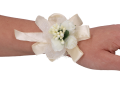 49e80ab06a66bd547e82b5e416d629f0.jpg