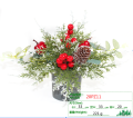 16d8aacb7dbe1524b17d661c84150690.png