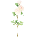 cff9e7ea656e8f8223b139cdc78b6cca.png