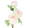 118f9e091144c431257d438f0ba271a7.png