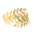 1c81a21938f4694ca6afd3e6dc578305.png