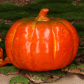 78703.png