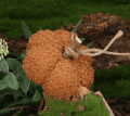 35fc4302aa82950aa8a7567c007e95ae.png