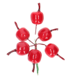 e03b891ee4f054a0c79a18d1e5f899b4.png