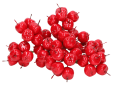 54003.png