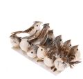 72375.png