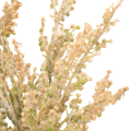 5d9d9d0d27fa47fb194da35918dc1a9a.png