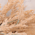 fb514c5764fd40ab5546a29233b6b52c.png