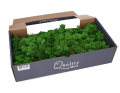 mech_chrobotek_500g_zielony_moss_green_480322_2D_0002_large.png