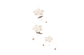 e12-17hy392-1_2D_0003.png